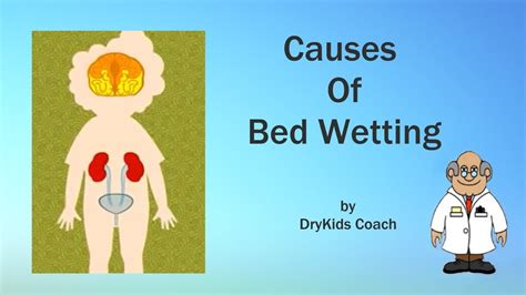 wet myself|What Causes Bed.